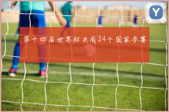 第十四届世界杯共有24个国家参赛