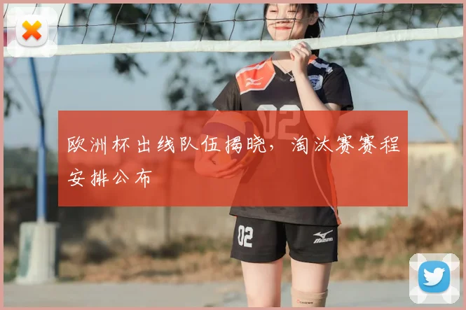 欧洲杯出线队伍揭晓,淘汰赛赛程安排公布