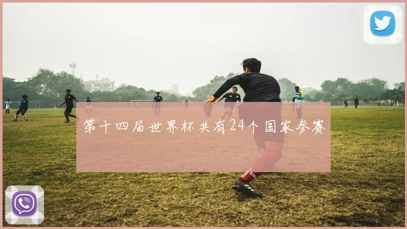 第十四届世界杯共有24个国家参赛